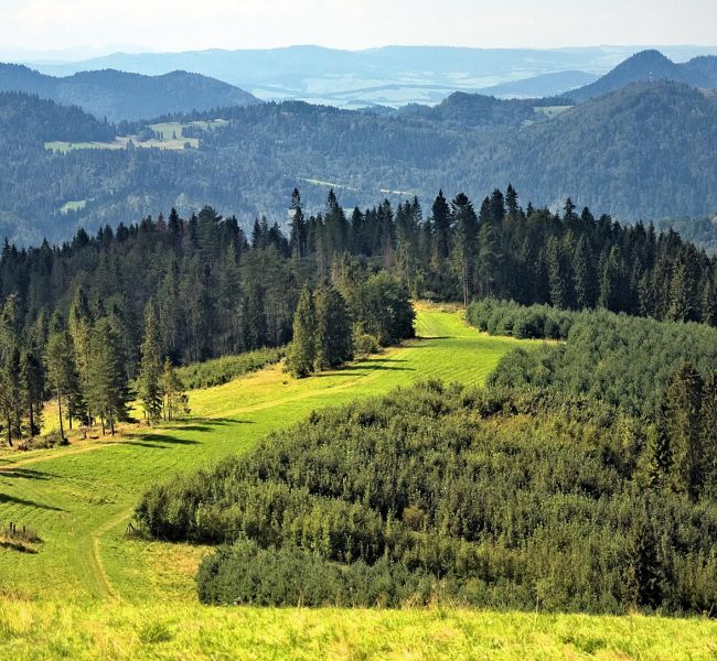 Atrakcje regionu