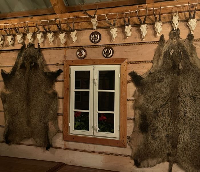 Żywa lekcja przyrody i historii łowiectwa